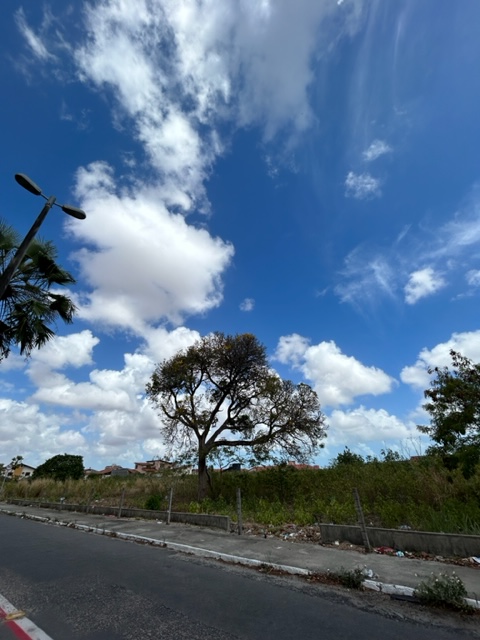Imagem da Oferta ABL 6545